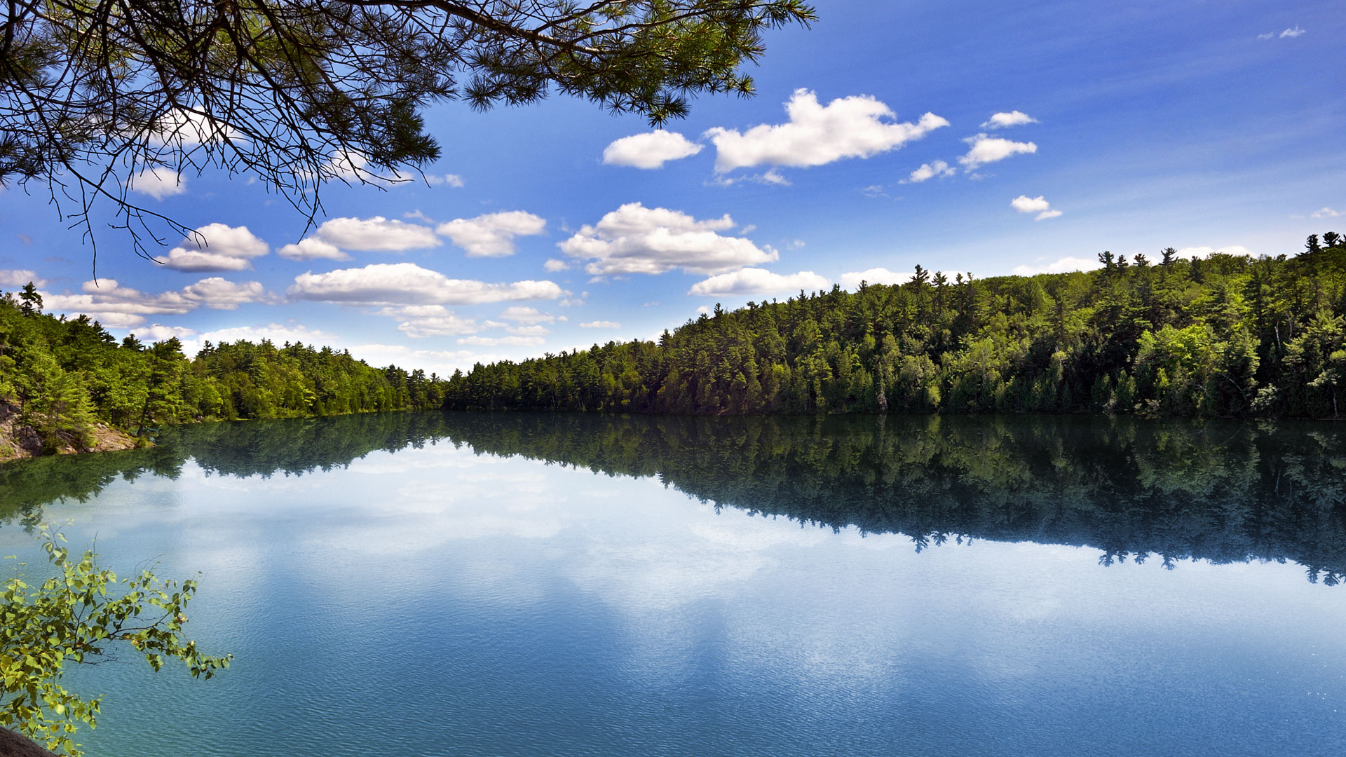 Wahkotowin en action : apprendre des voix autochtones